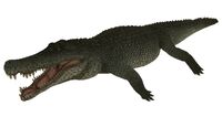 File:Deinosuchus hatcheri 052913.jpg - Wikipedia