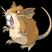 #022 Raticate (Normal)