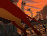 Kovu running from ostriches