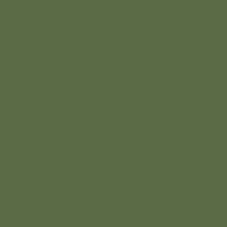 Ring 2's Color