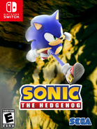 Sonic 2020 NS