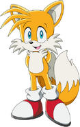 Sonic series tails 2D