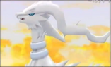 Reshiram