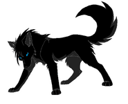 Glitch the Black Wolf