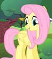 Fluttershy (Center)