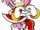Amy Sonic Rush.png