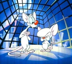 Pinky and the Brain