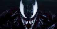 Harry Osborn / Venom