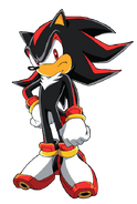 Shadow The Hedgehog