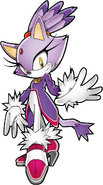 Blaze the Cat