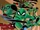 The Ninja Turtles