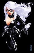 Black Cat 