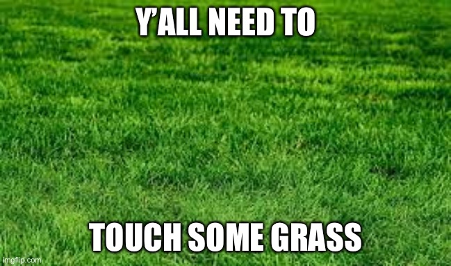 Go outside and touch grass  Go outside, The outsiders, Memes