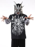 Jeff Hardy/Willow