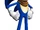 Sonic Boom (Video Game)