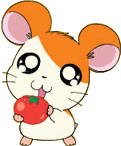 Hamtaro