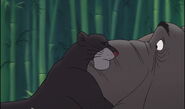 Jungle-book2-disneyscreencaps.com-4017