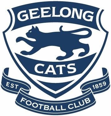 160 Years of Australian Rules Football (Video Game)/Geelong Cats (VFL) |  Idea Wiki | Fandom