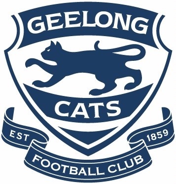 160 Years Of Australian Rules Football Video Game Geelong Cats Vfl Idea Wiki Fandom