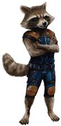 Rocket Raccoon Myles Bot