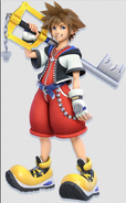 Sora