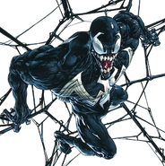 Web of Venom