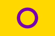 Intersex flag australia