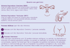Esquema-genitais.png
