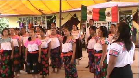 Yaonáhuac Puebla Ahuehuete Interpretación del Himno Nacional Mexicano cantado al náhuatl oaxaqueño en Yaonáhuac, Puebla.MPG