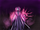 Portrait ShadowStalker.png