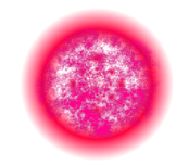 Portal