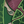  Cattibrie ultime Vide le Carquois.png 