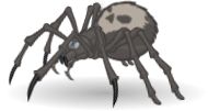 Monster Beast SkullFaceSpider