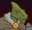 Dragonbait