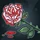 Icon Achievement For Koshmarr