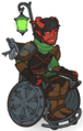 Standard skin