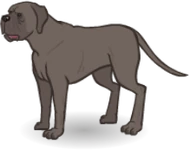 Monster Beast Mastiff