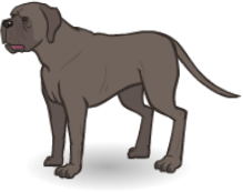 Beast mastiff online
