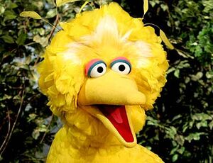 Sesame street big bird