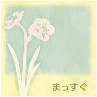 Massugu Jacket.jpg