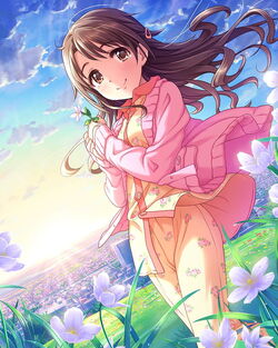 Cinderella Girl | THE IDOLM@STER Wiki | Fandom