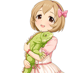 Koharu Koga/Gallery | THE IDOLM@STER Wiki | Fandom