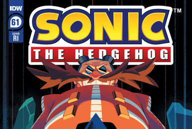 SONIC THE HEDGEHOG #63 Cvr C RI 1:10 IDW Comics MAY231371 63C 63RI