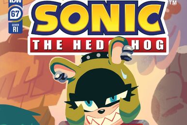 SONIC THE HEDGEHOG #63 Cvr C RI 1:10 IDW Comics MAY231371 63C 63RI