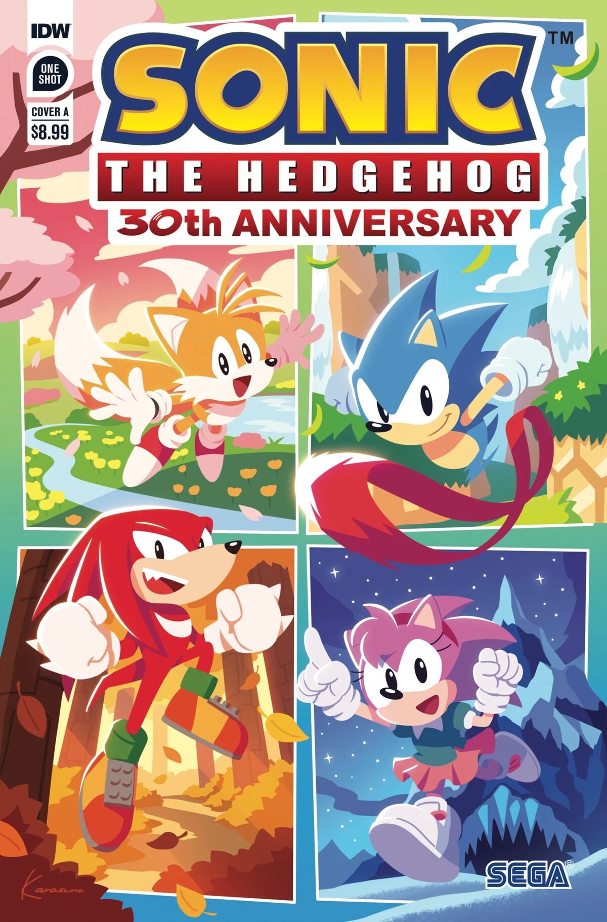 IDW Sonic the Hedgehog: Amy's 30th Anniversary Special Previews Released –  Sonic City