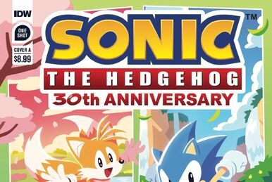 Amy Rose Starring In Her Very Own 30th Anniversary One-Shot Comic - Comics  - Sonic Stadium