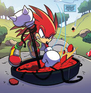 Knuckles defeats Death Egg Robot sentinel