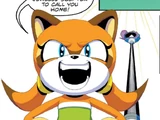 Marine the Raccoon