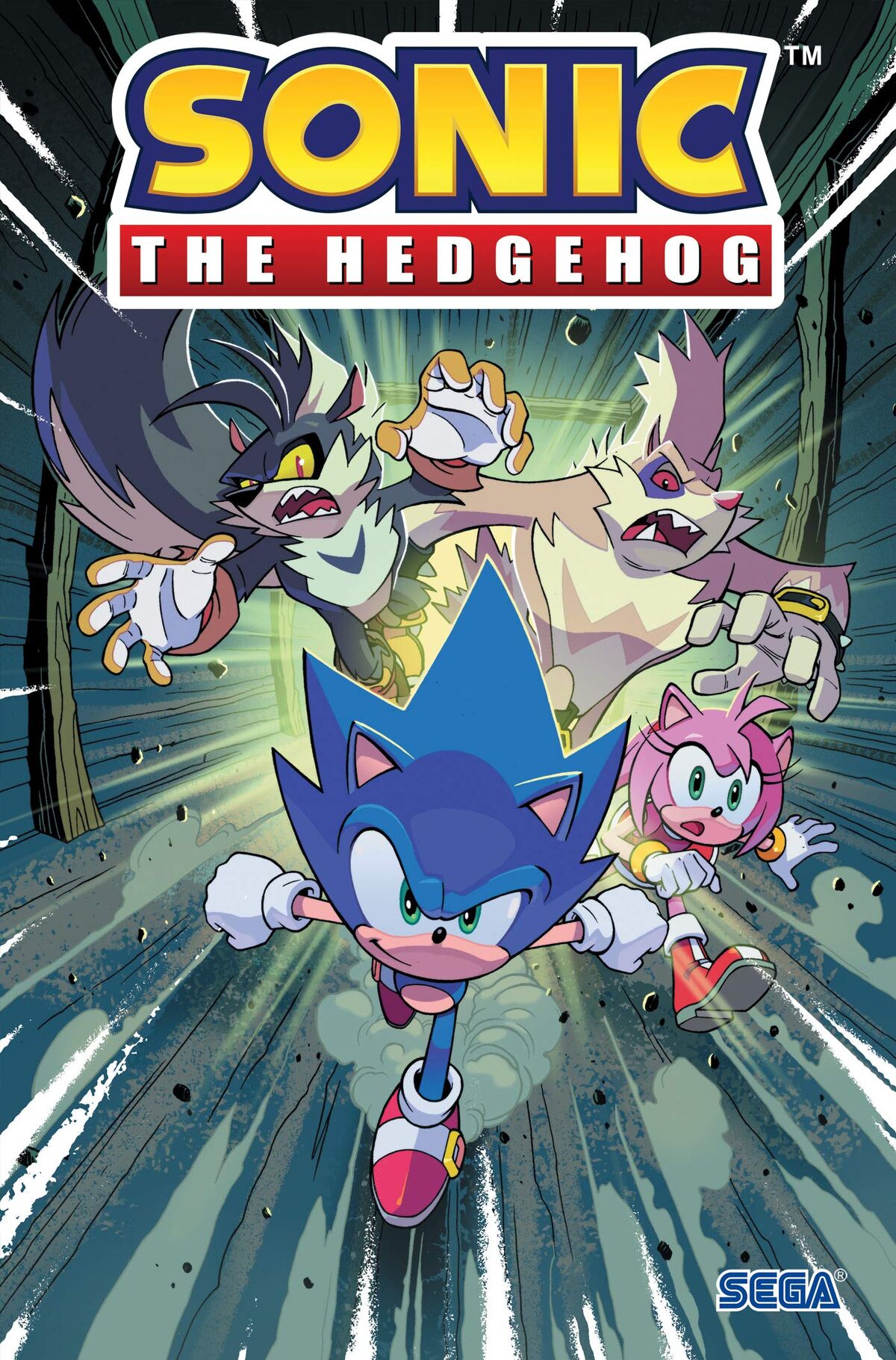 Sonic the Hedgehog Volume 10, IDW Sonic Hub