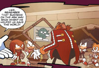 The incident aboard the Space Colony ARK that Shadow was apparently a part of.